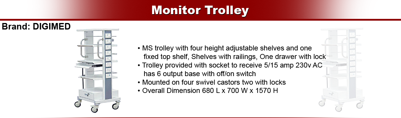 Monitor Trolley